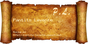 Pantits Levente névjegykártya